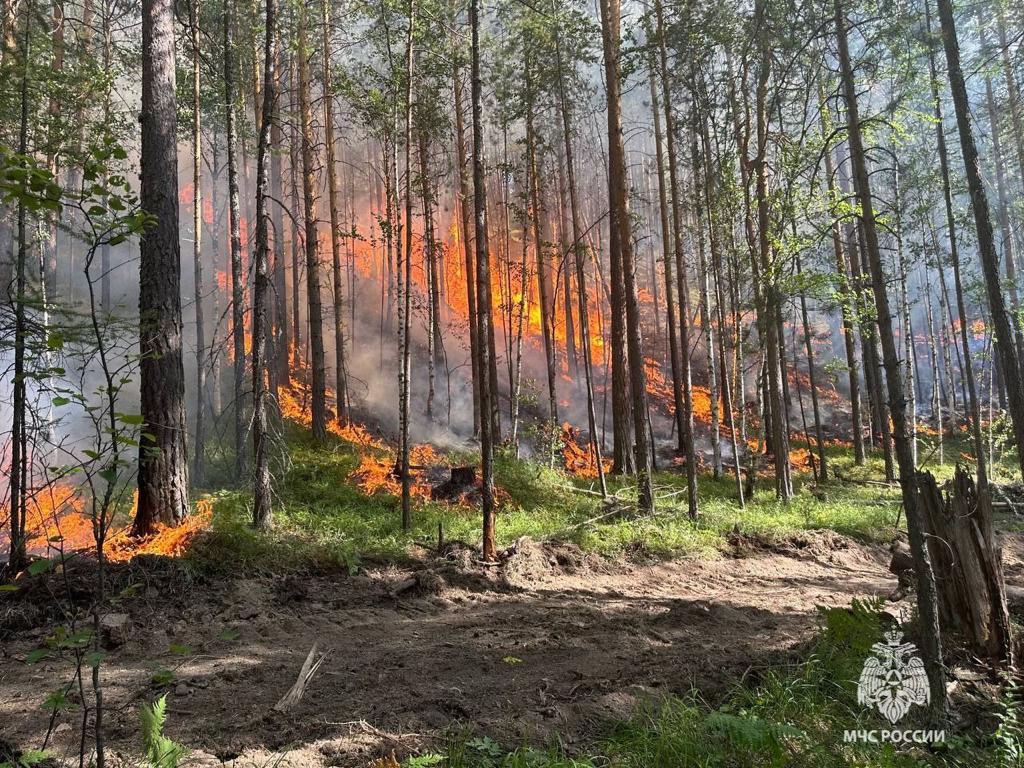 В Башкирии площадь лесных пожаров достигла 132 га